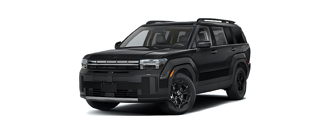 Hyundai Santa Fe 2024 1