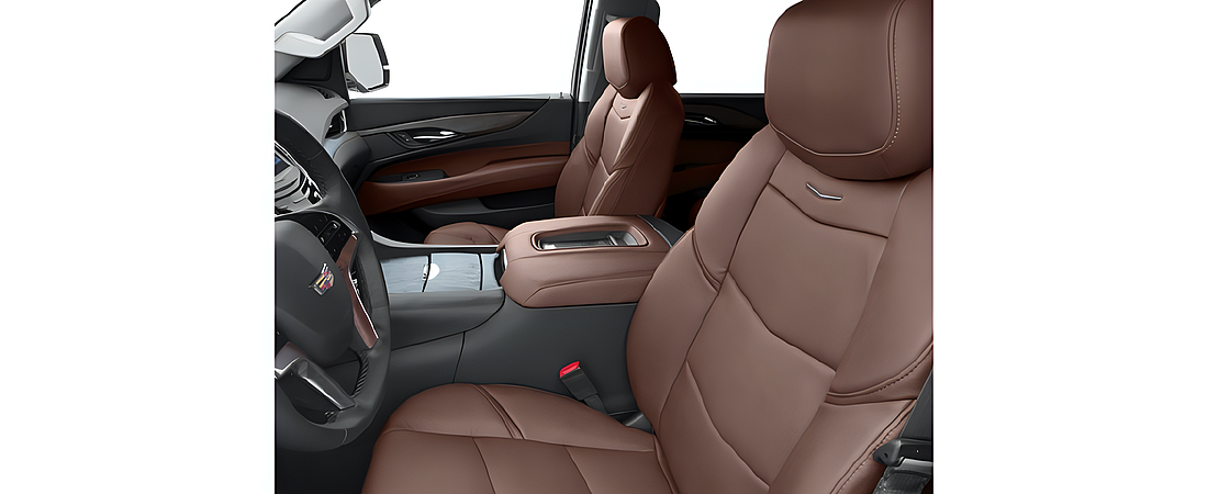 Cadillac Escalade ESV 2016 23