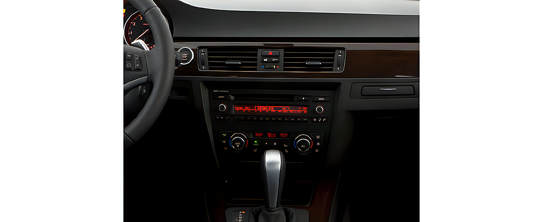 BMW 3 Series 2010 30