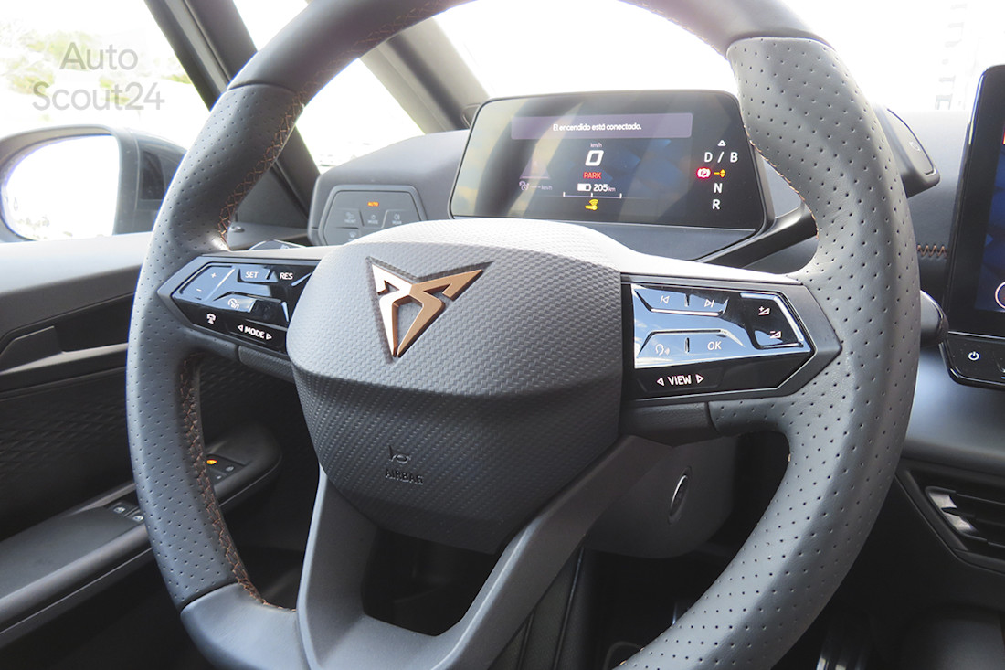 19_cupra_born.JPG