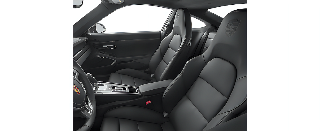 Porsche 911 2014 120