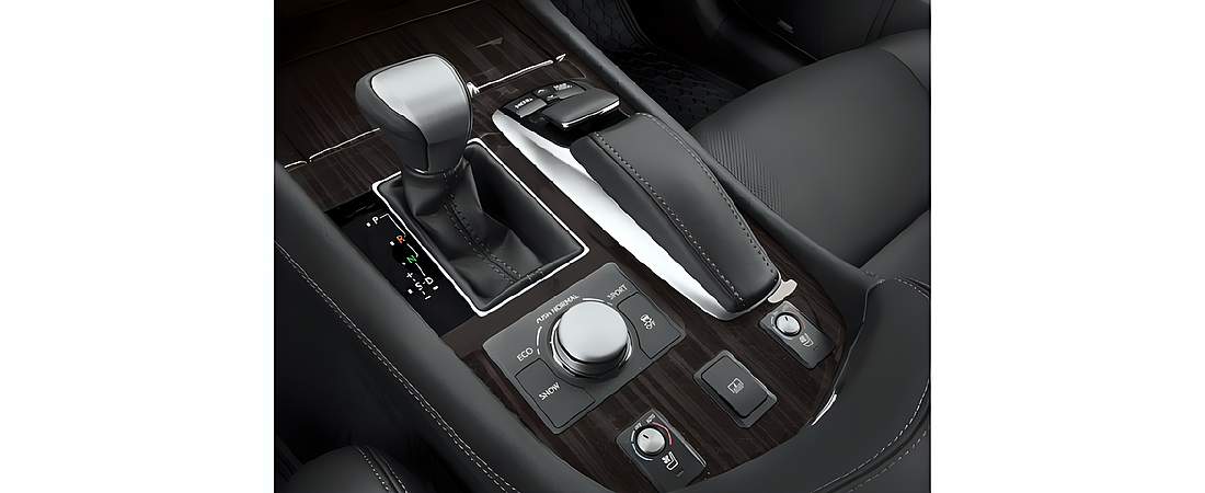 Lexus LS 600HL 2016 10