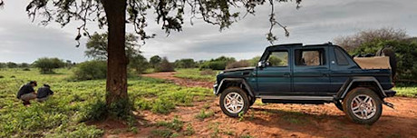 Erster Test: Mercedes-Maybach G 650 Landaulet – Der König von Afrika