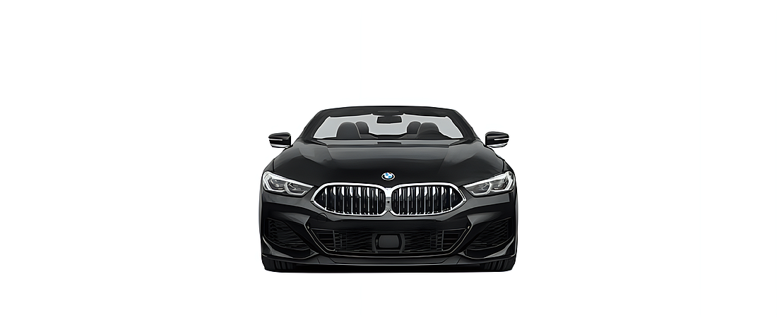 BMW 8 Series 2019 8