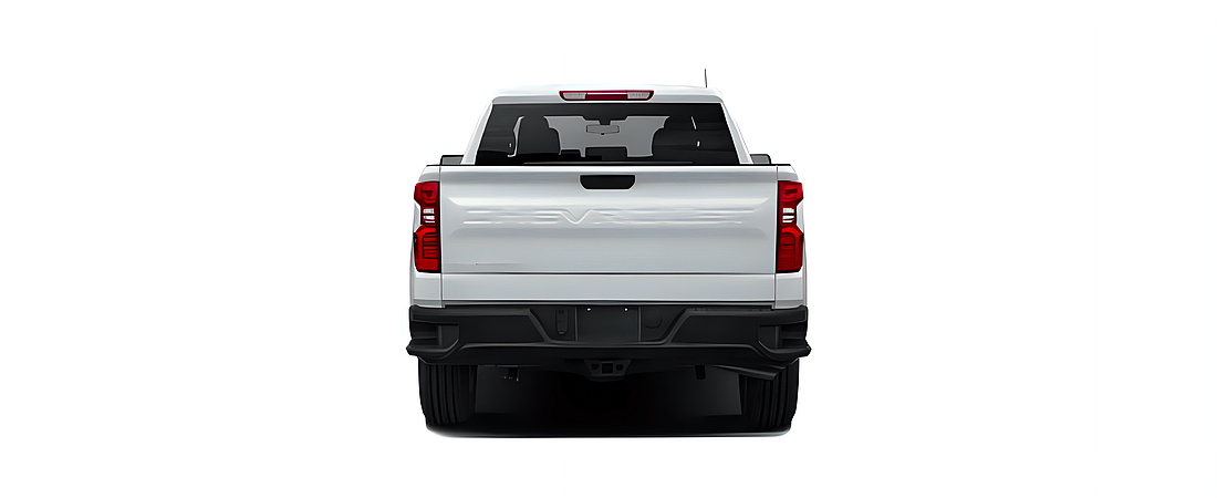 Chevrolet Silverado 1500 2020 17