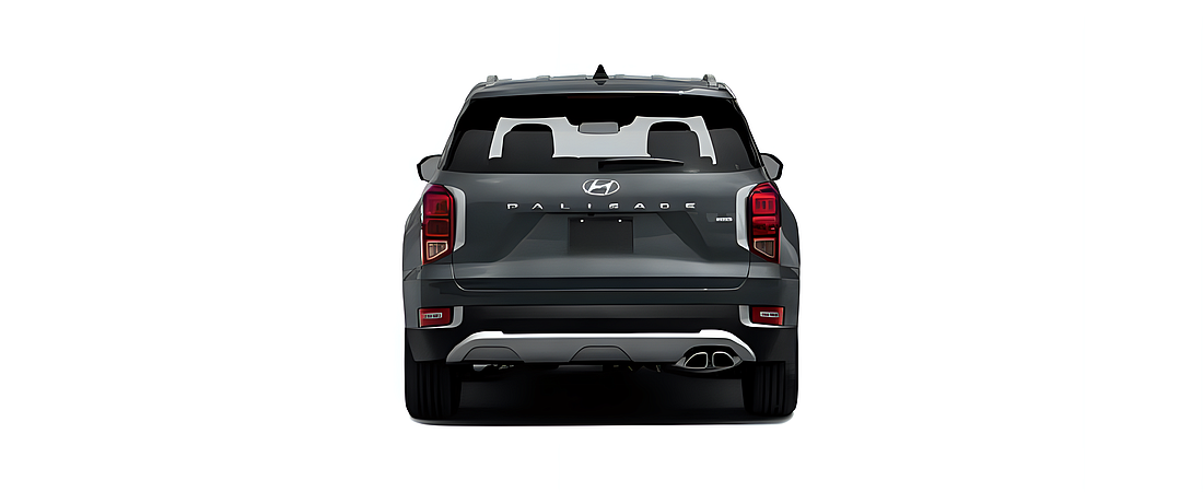 Hyundai Palisade 2021 5