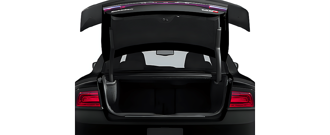 Dodge Charger 2014 45