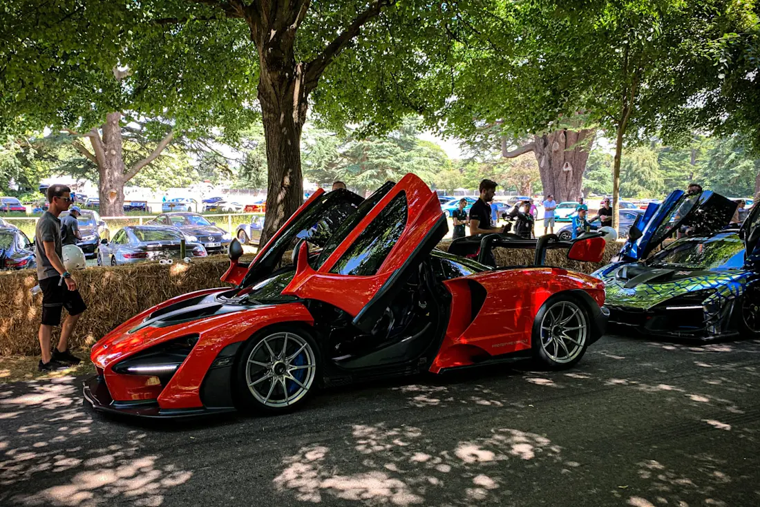 PICTURE: McLaren Senna