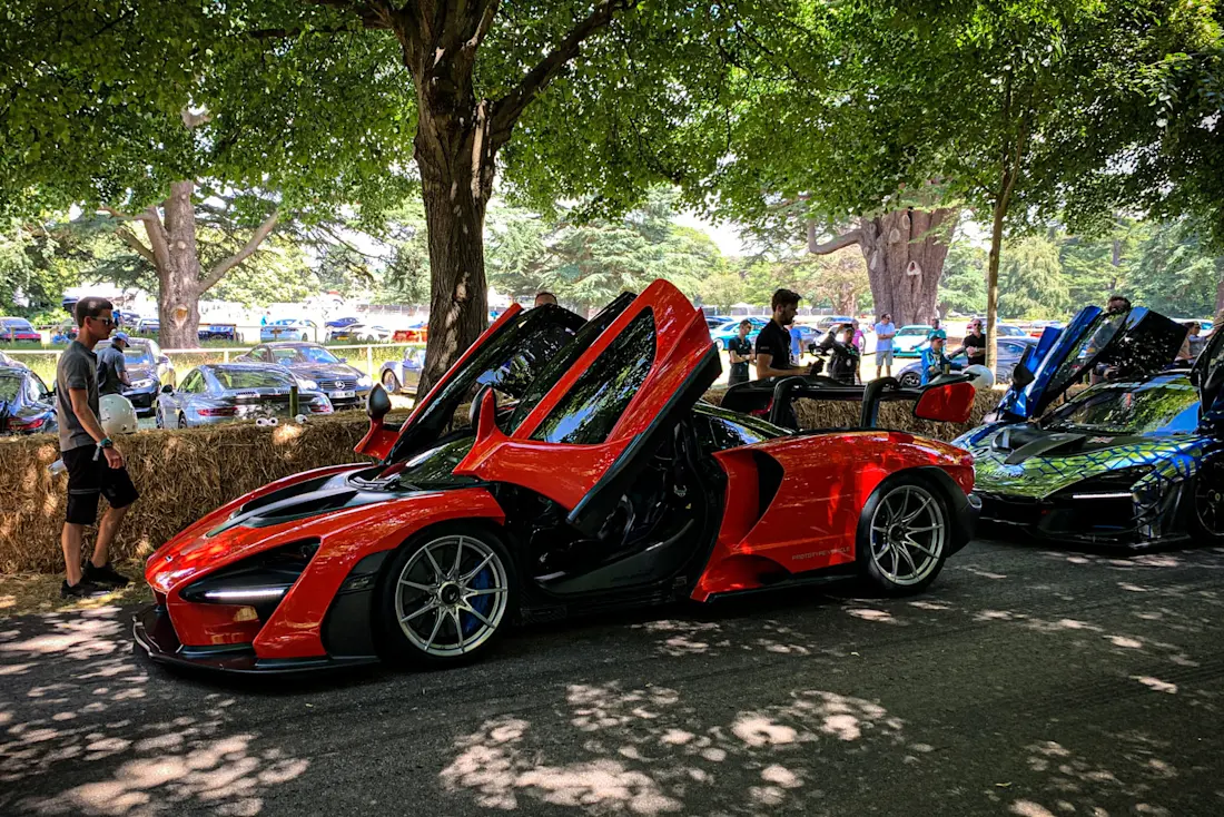 PICTURE: McLaren Senna PICTURE: McLaren Senna
