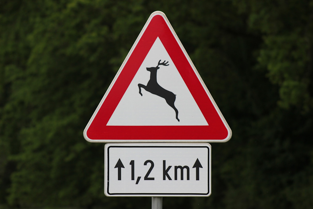 Alles wat je moet weten over verkeersborden