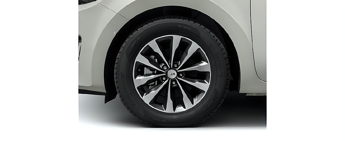Kia Sedona 2016 28