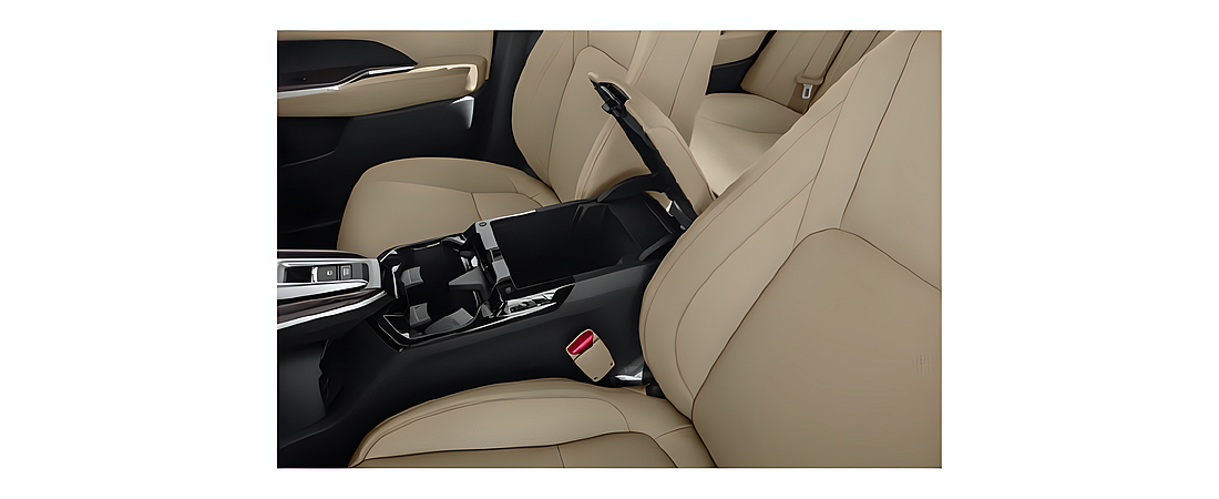 Honda Clarity Plug-In Hybrid 2019 25