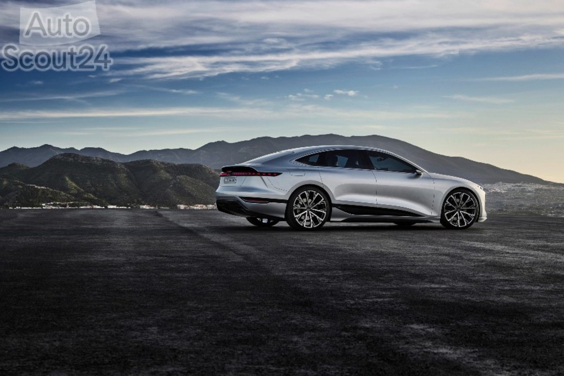 A212290_medium (1).jpg