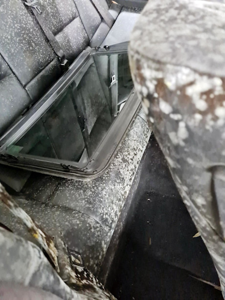 Editorial moldy bmw 05 lallous123