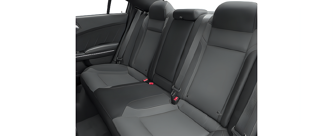 Dodge Charger 2016 30