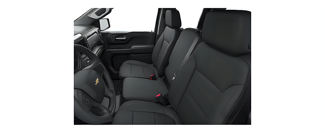 Chevrolet Silverado 1500 2020 20