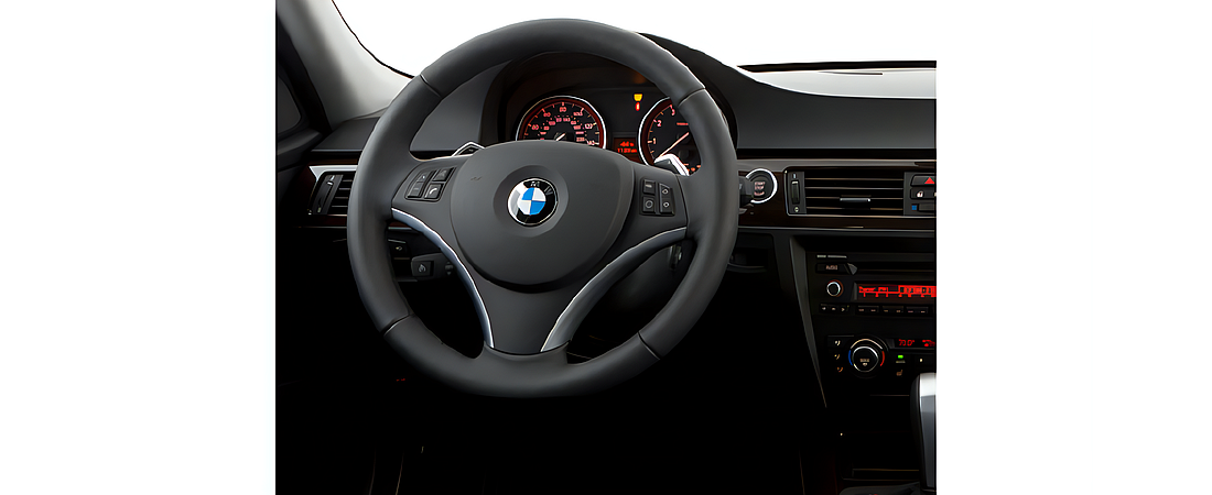 BMW 3 Series 2010 25