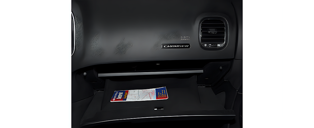 Dodge Charger 2013 14