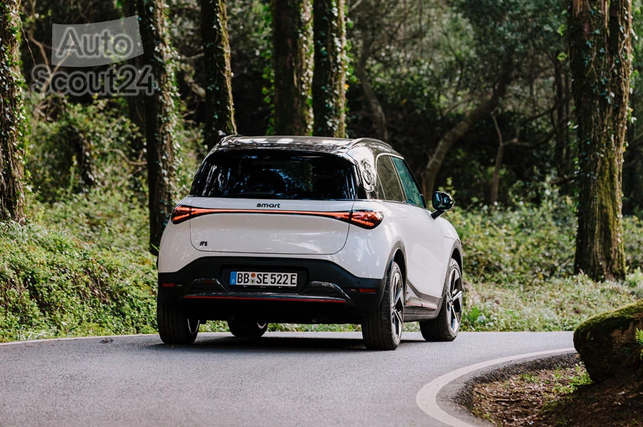 smart -1 (7)