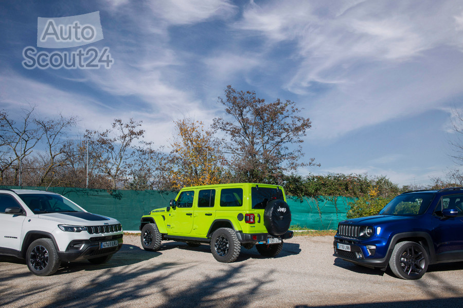 gama_jeep_4Xe_013.jpg