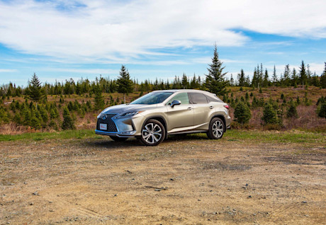 Editorial 2020 lexus rx 350 luxury 03 ew