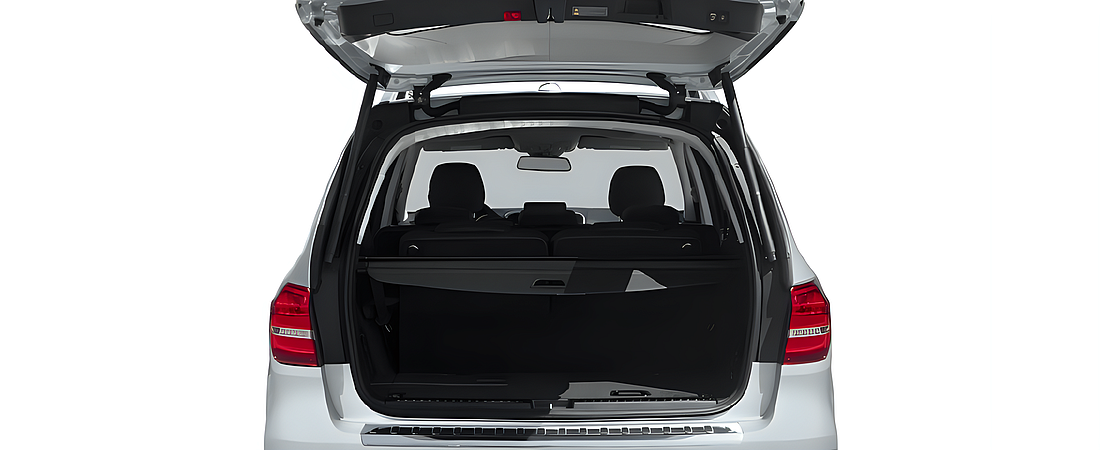 Mercedes-Benz GLS 2018 11