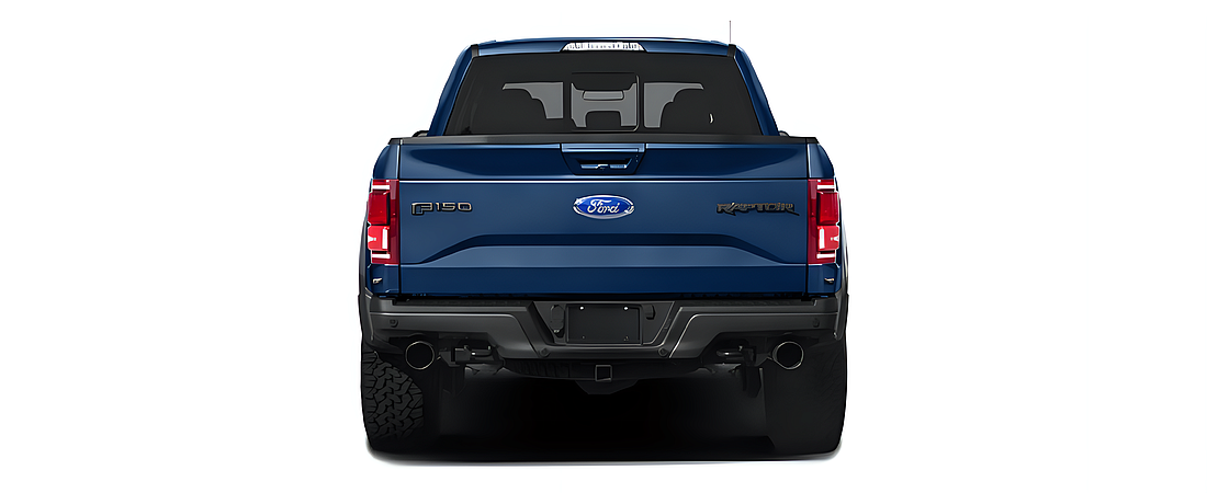 Ford F-150 2017 184