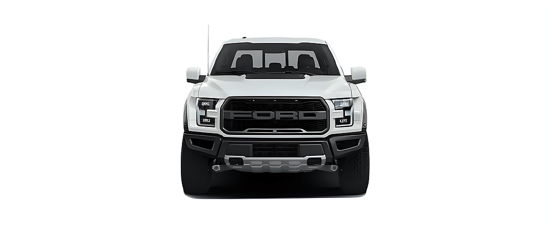 Ford F-150 2019 85