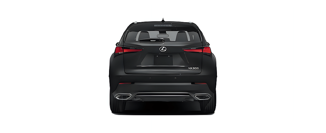 Lexus NX 2020 5