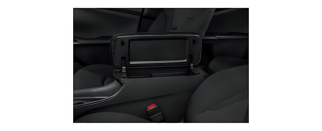 Toyota Prius 2021 12