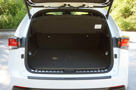 Editorial 2020 lexus nx 300 black line 14 jl