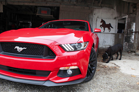 Editorial 2015 ford mustang gt premium pb 06 4224