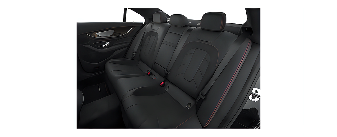 Mercedes-Benz CLS-Class 2019 24