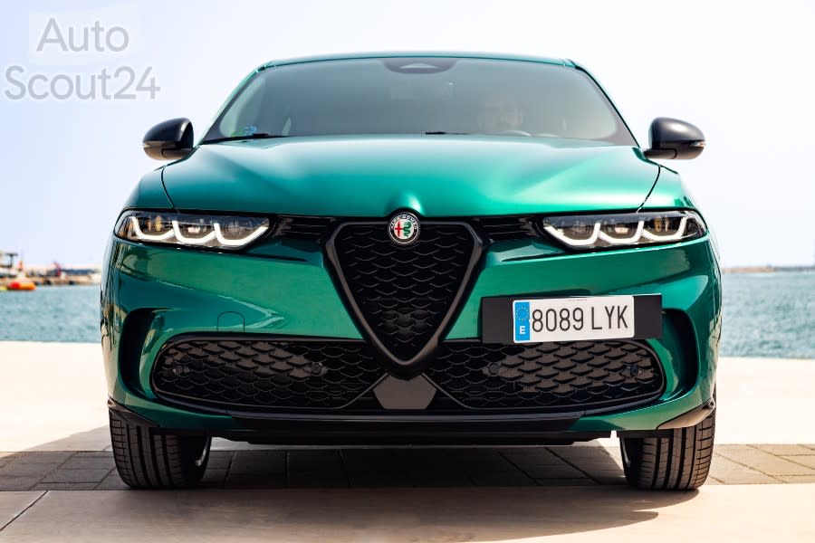 AlfaRomeoTonale19jun22_007(1).jpg