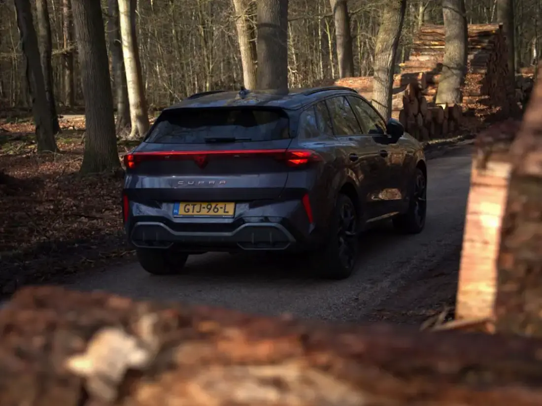 Cupra Terramar 3