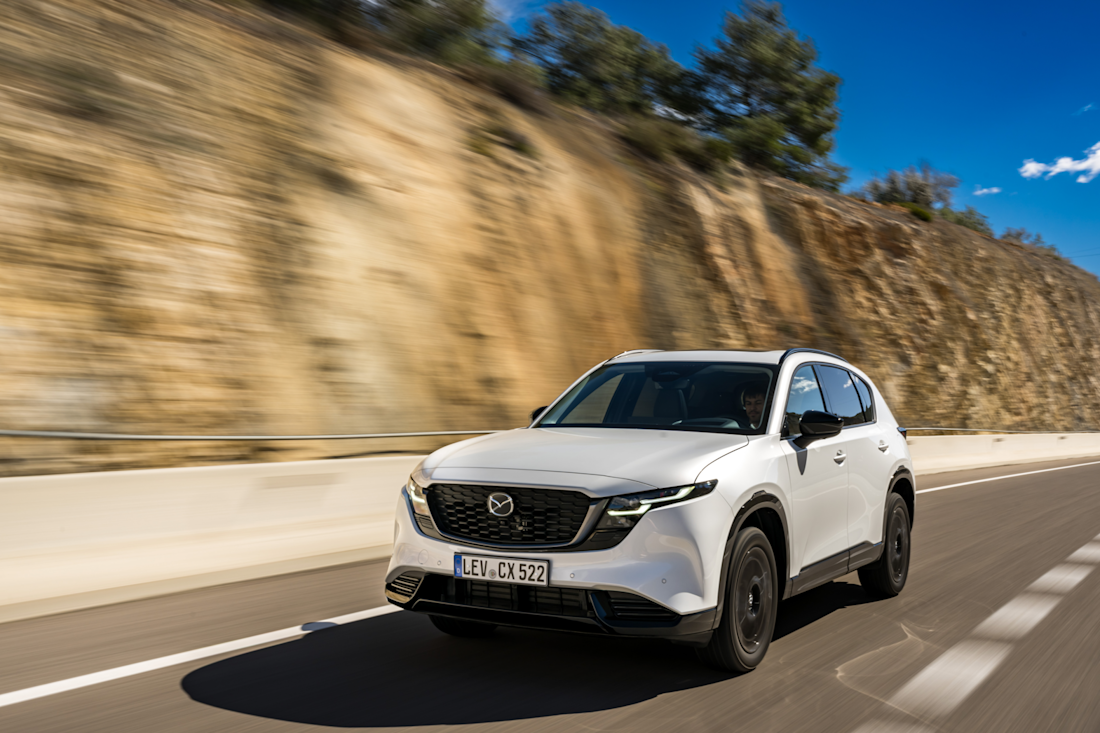 Captura de pantalla 2026-02-25 225205