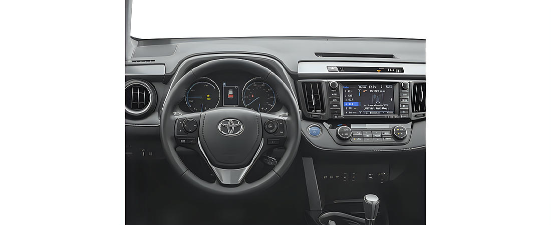 Toyota RAV4 2017 80