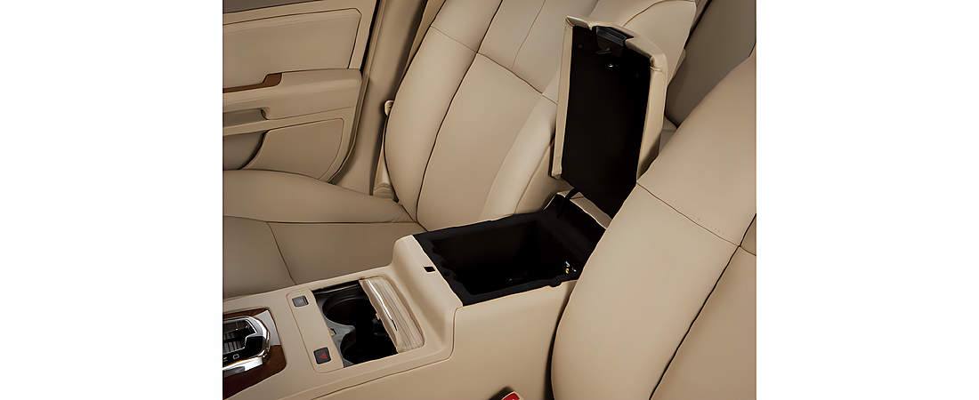 Cadillac STS 2011 16