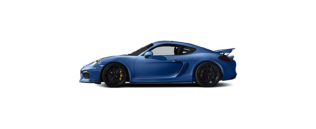 Porsche Cayman 2016 48