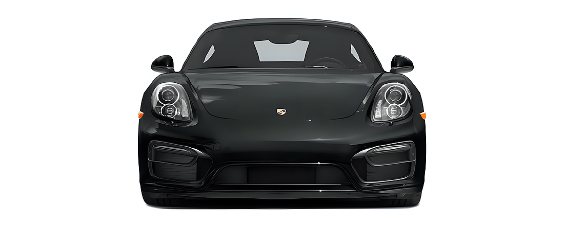 Porsche Cayman 2016 22