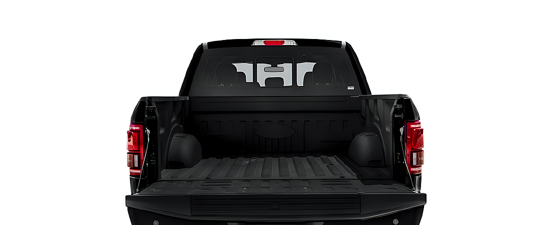 Ford F-150 2017 140