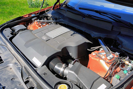 Editorial discovery 43 of 43