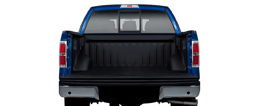 Ford F-150 2010 50