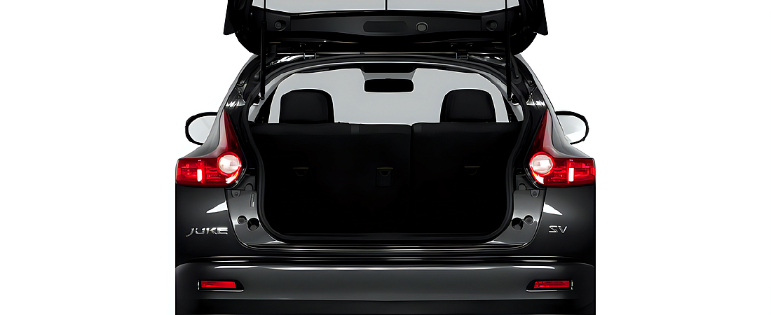Nissan Juke 2013 13