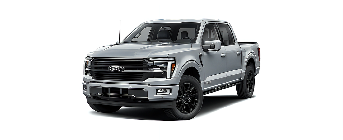 Ford F-150 2025 119