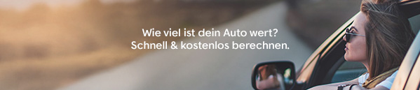 7_private_seller_car_evaluation_de
