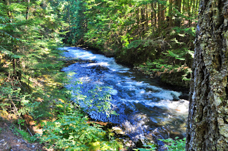 Editorial 09 mb near whistler river