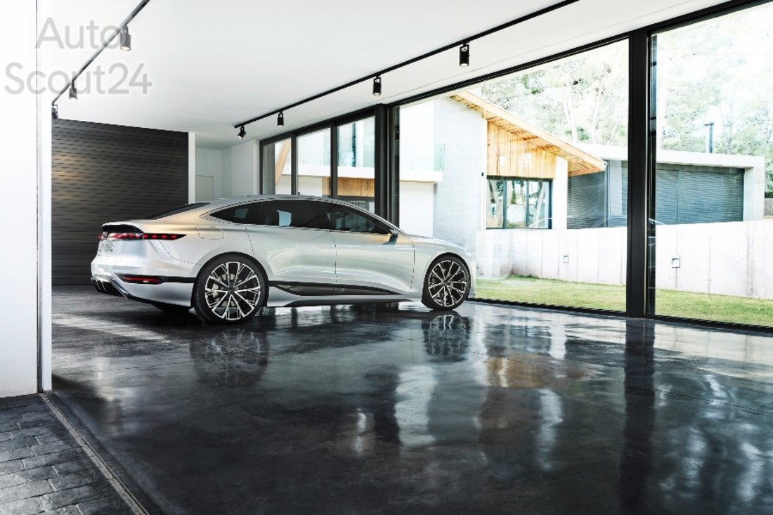 A212317_medium (1).jpg