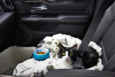 Editorial 2019 ram 1500 sport 31 dw