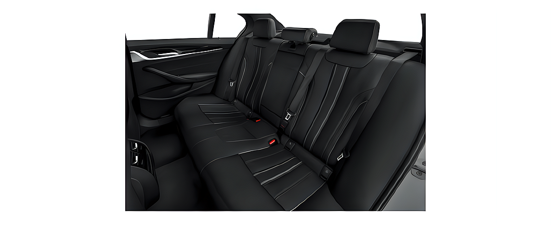 BMW 5 Series 2021 39